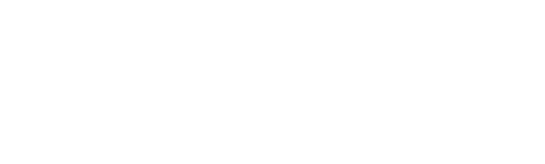 logo-igvs